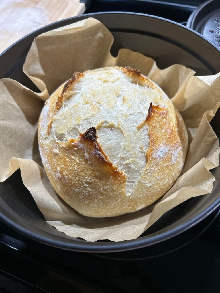 First Sourdough Attempt