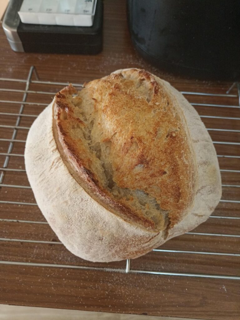 It is done guys. My first bread. But i need sugestion and some tips. It is sour.๐ It is done guys. My first bread. But i need sugestion and some tips. It is sour.๐