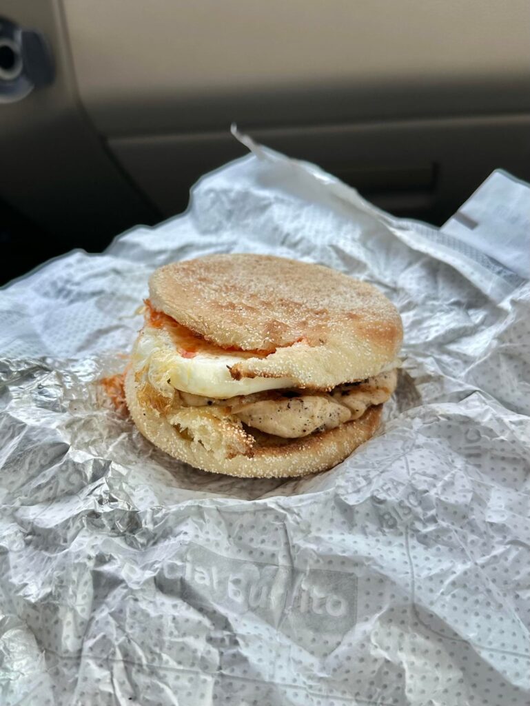 What I ate today ~ 1244 calories & 111g protein