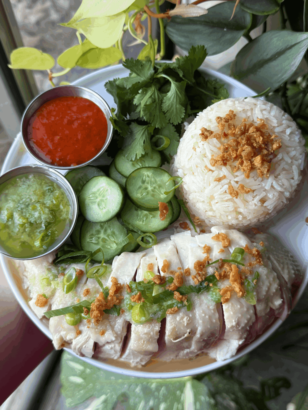 [Homemade] Hainanese chicken rice