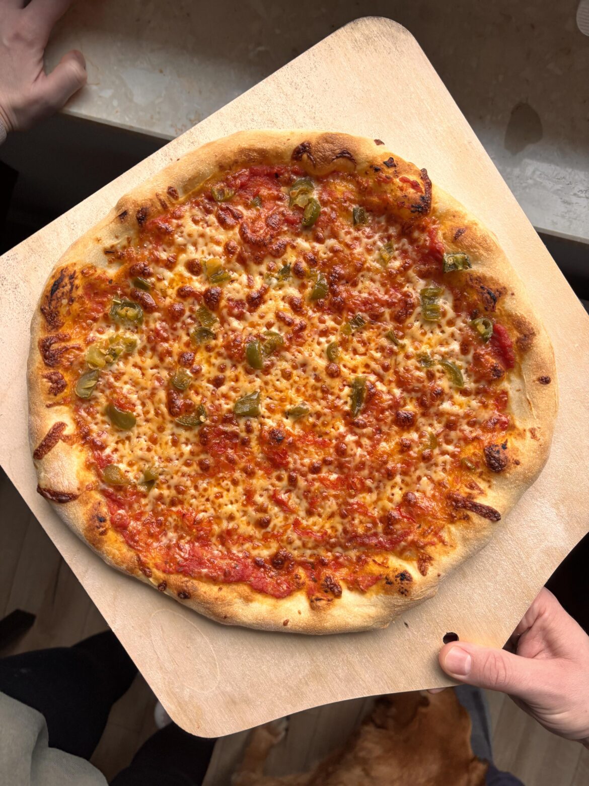 New york style pizza