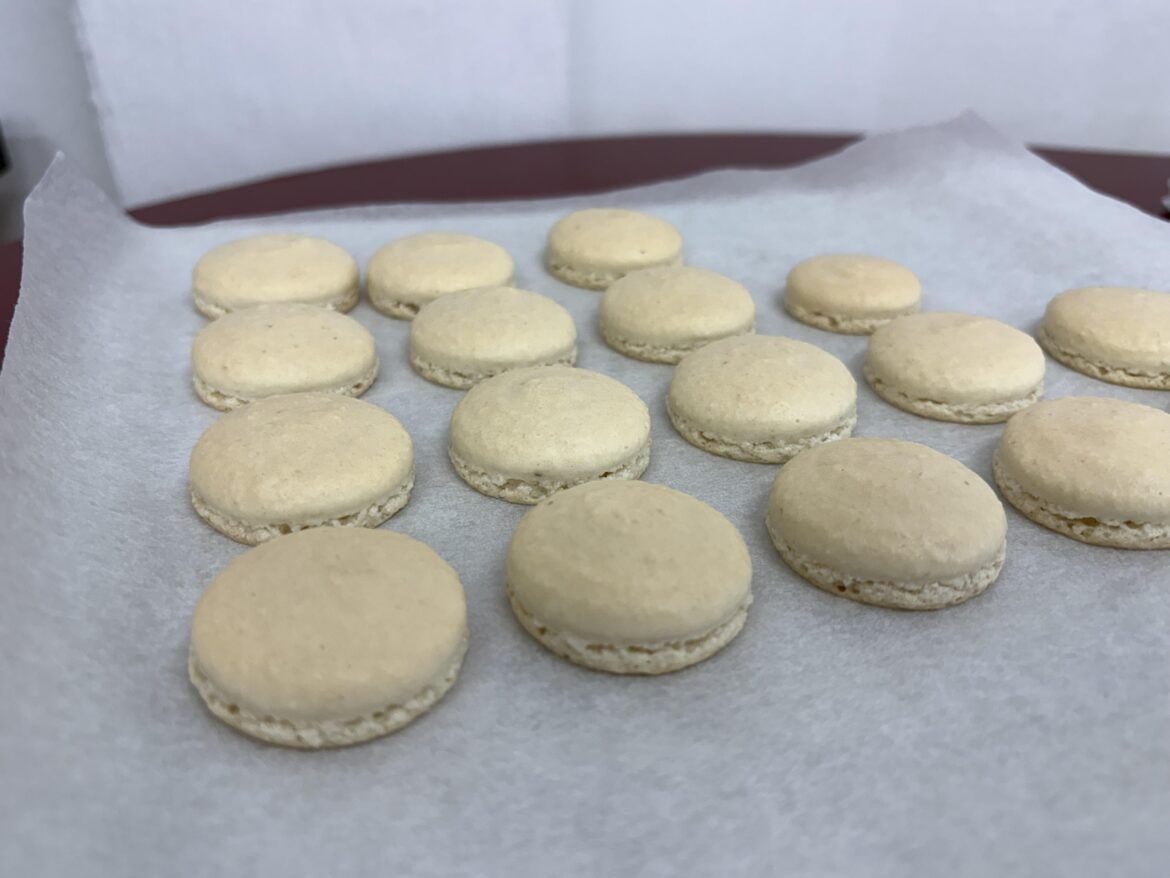 macaron progress