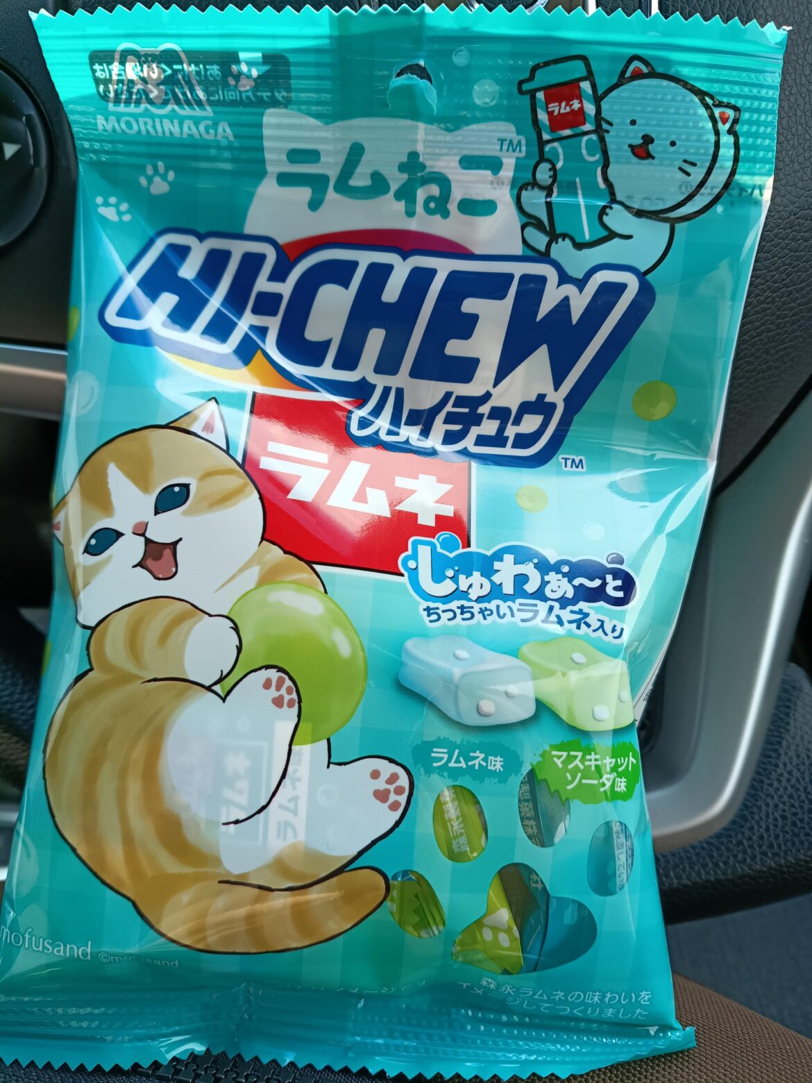 この季節がやって来た！ファミリーにゃーとの季節だ！ It's that time of year again! It's family にゃーと！