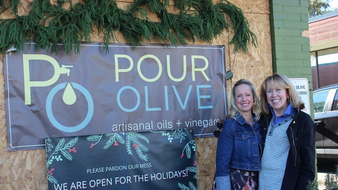 Extending an olive branch - The Charlotte Ledger