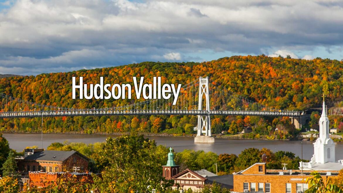 Confection is Everything at Hudson's Nine Cakes