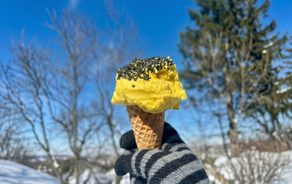 How to Make Ice Cream in the Snow This Winter How to Make Ice Cream in the Snow This Winter