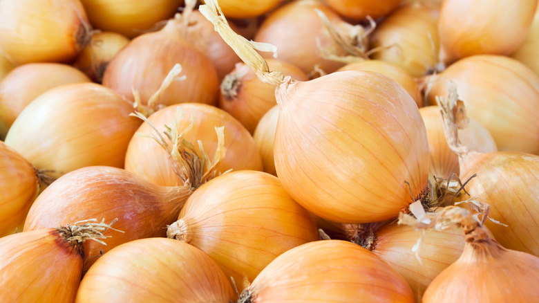 A large group of yellow onions