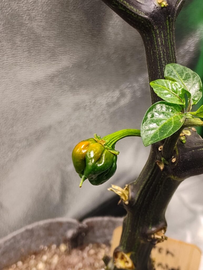 The changes are almost daily