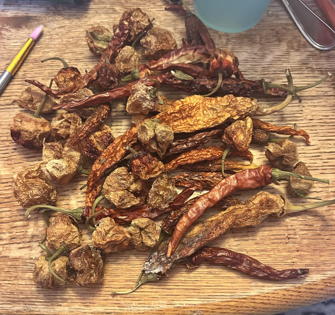 naturally dried these 6 years ago and just remembered they existed 🫠 definitely not eating them but cool they're not all disintegrated!