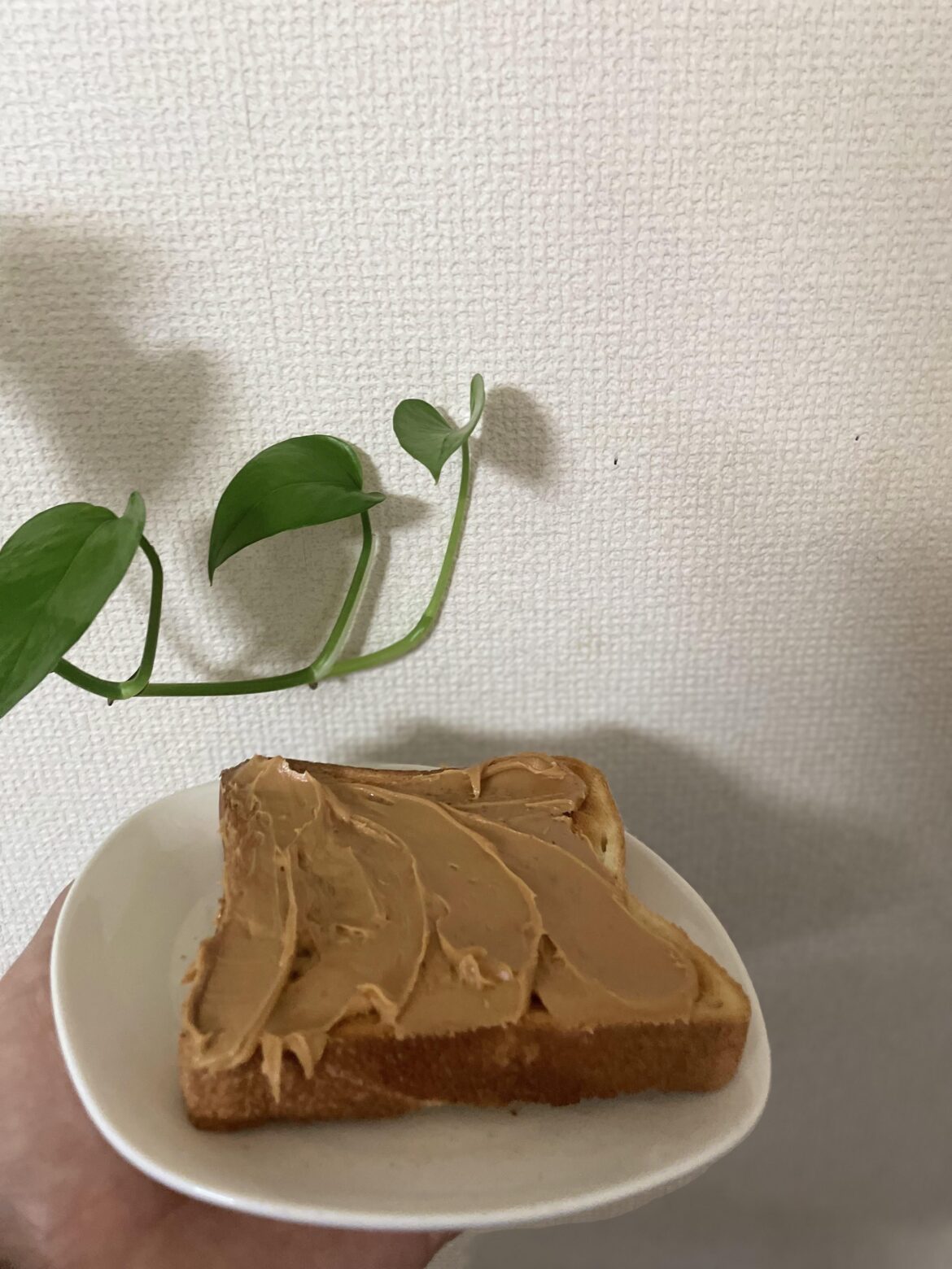 Today just peanut butter toast and good morning guys