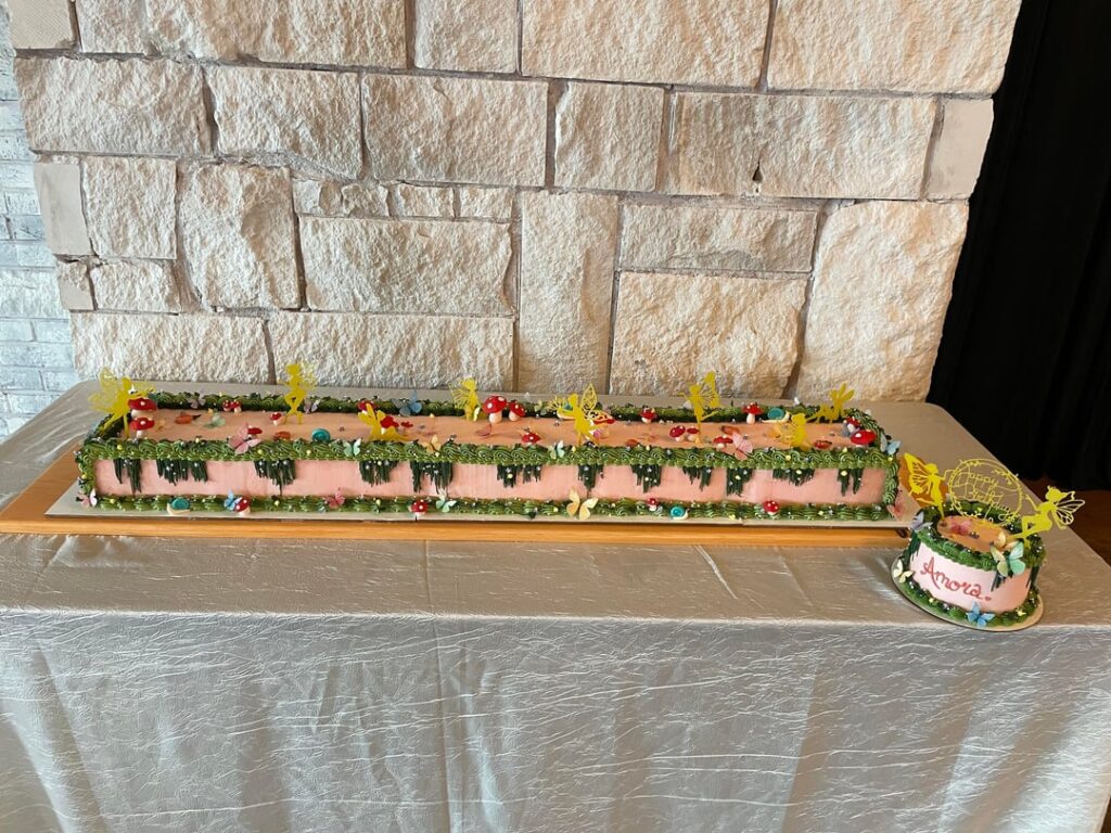 🍄🧚‍♀️A Fairy First Birthday🧚‍♀️🍄