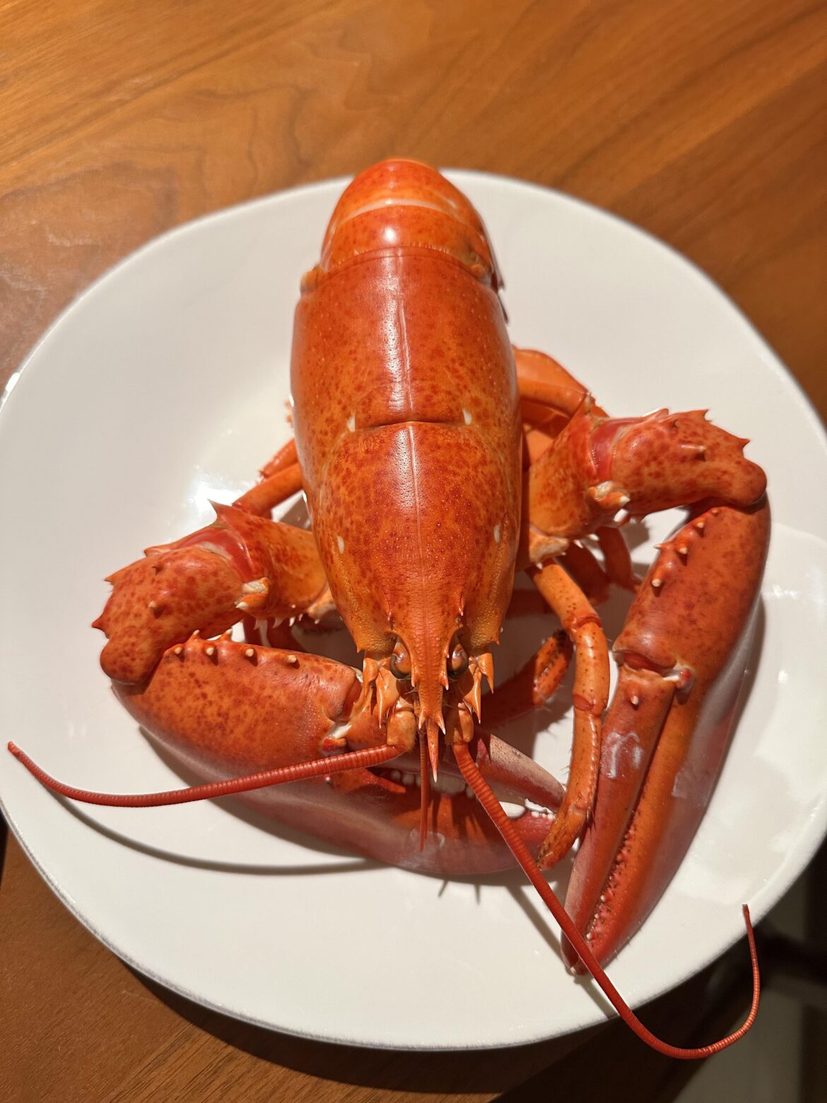 Keeping it simple. Lobster + Butter