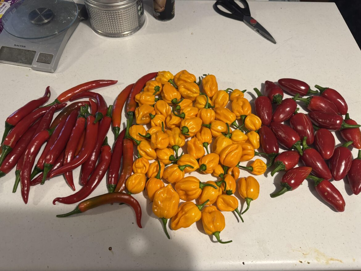 First real haul… Now what?