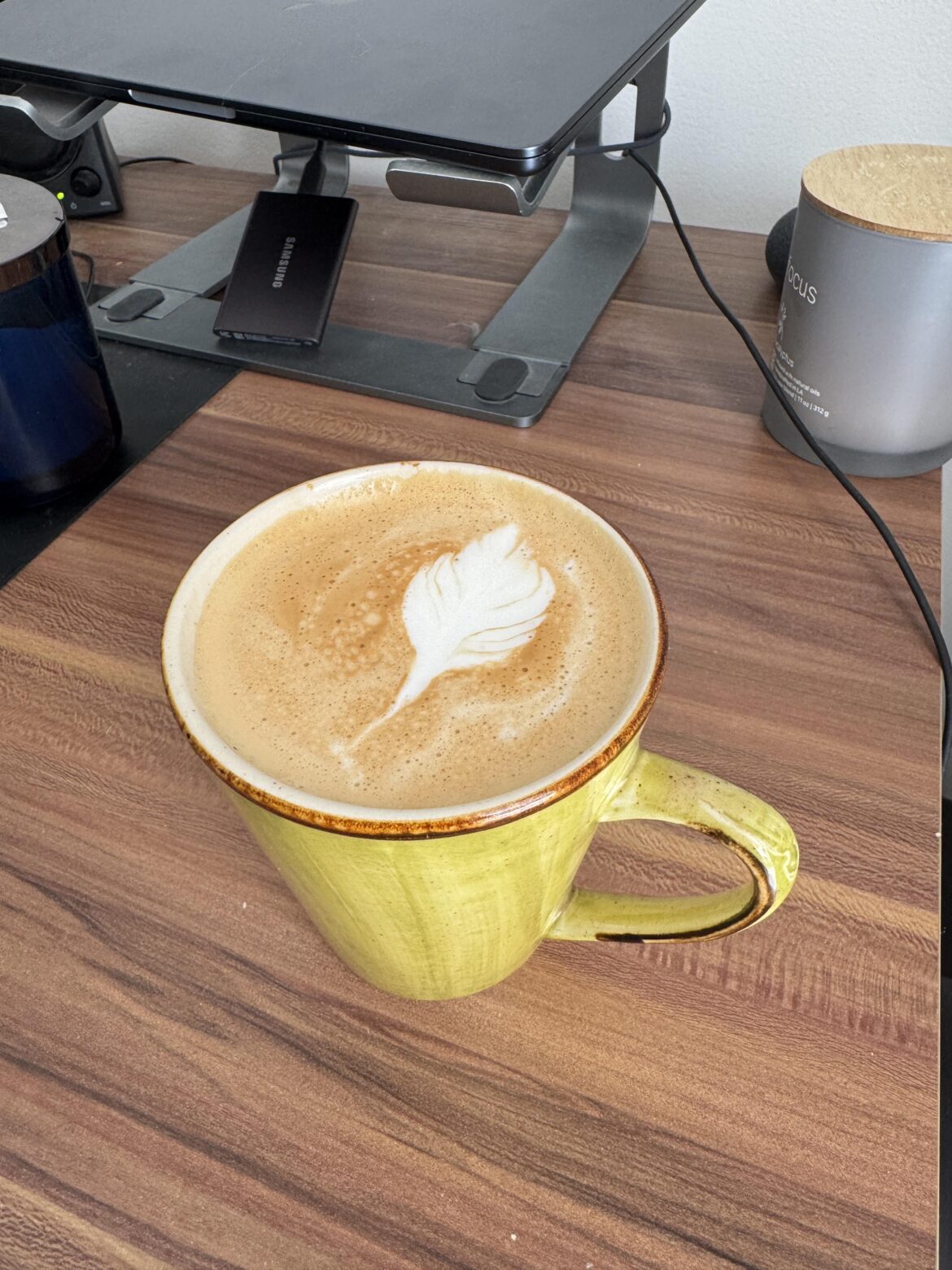 Im starting latte art, what do you guys think?