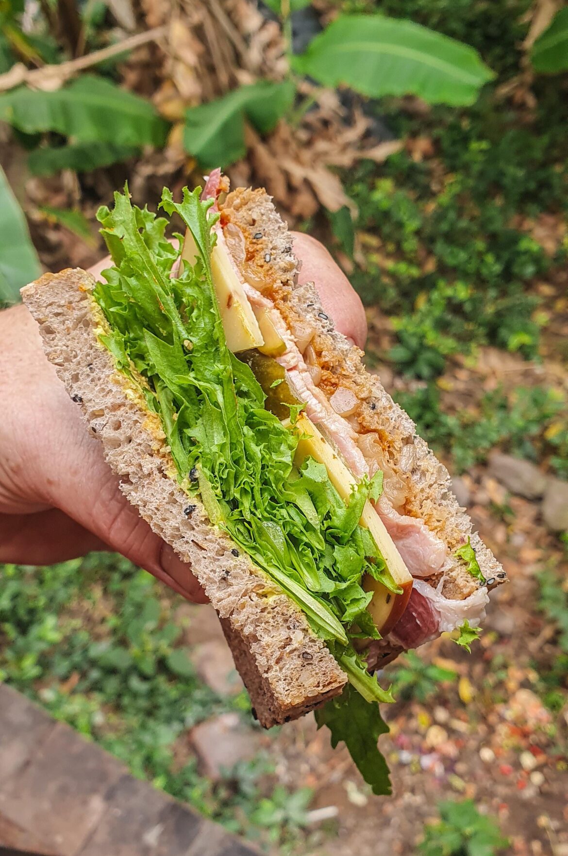 Ham salad sandi