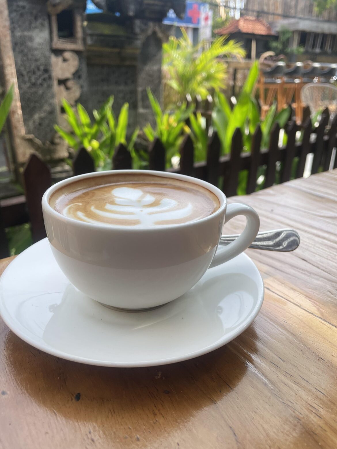 Coffee in Bali 🇮🇩