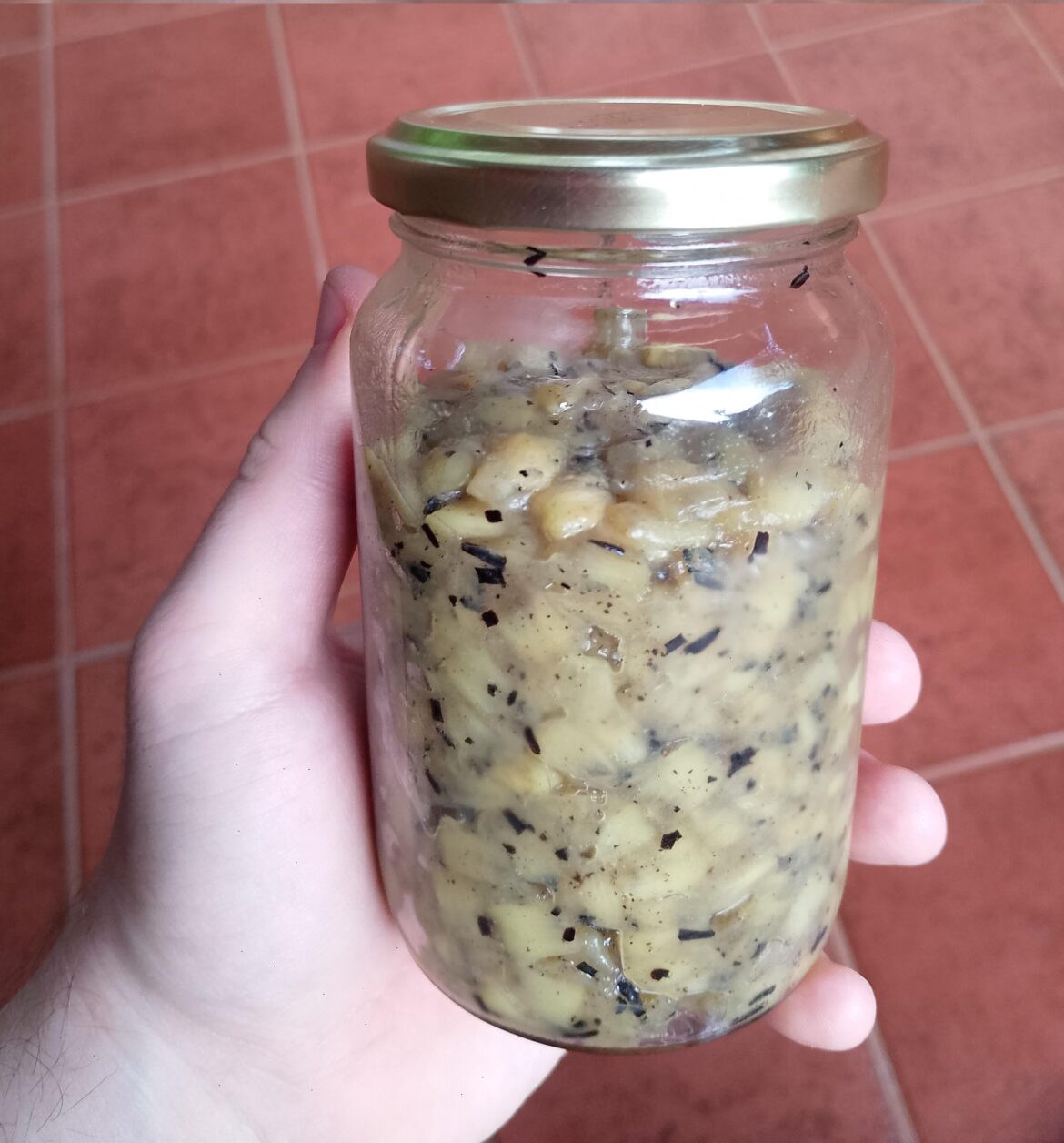 Monstera deliciosa jam