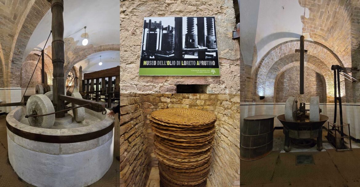 A Journey into the Heart of Abruzzo’s Olive Oil Heritage A Journey into the Heart of Abruzzo’s Olive Oil Heritage