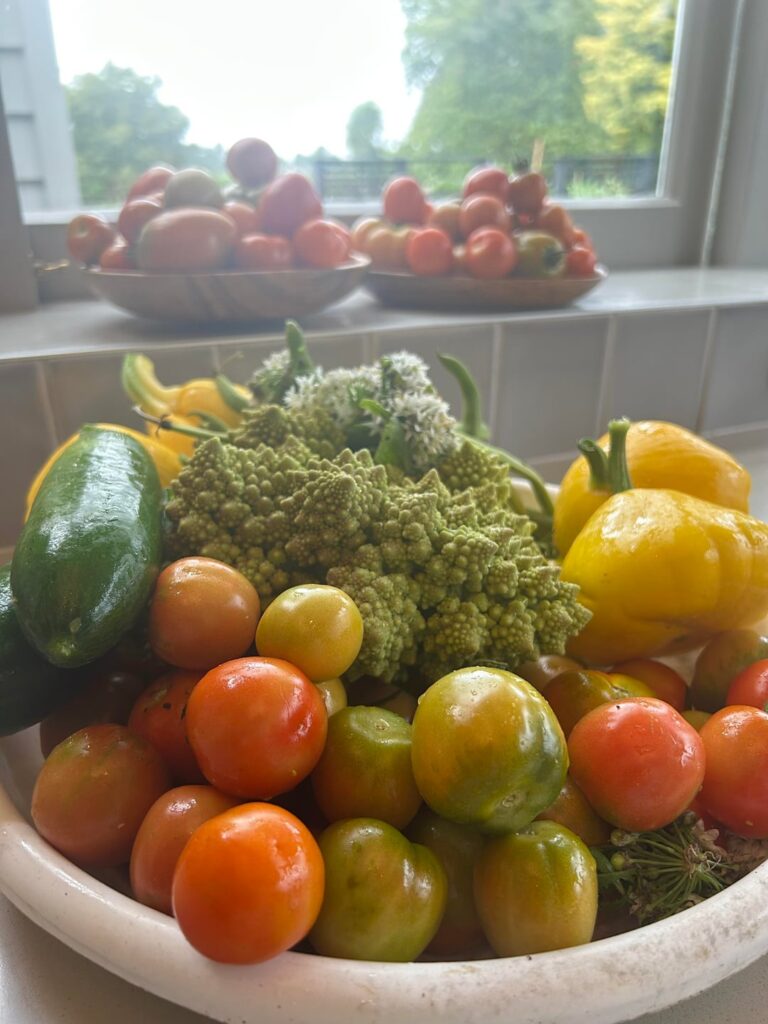 Powering down PlanetFood.news to focus on my garden to feed family and friends