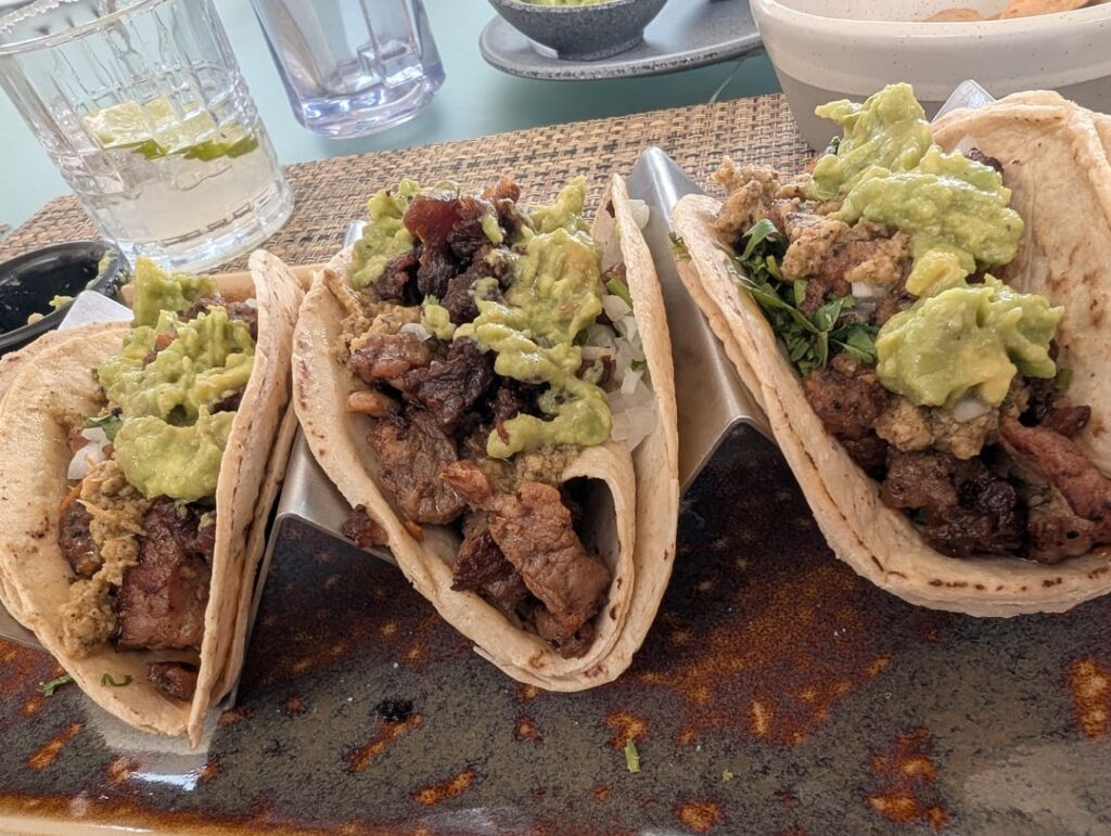 Playa Del Carmen Vacation Tacos