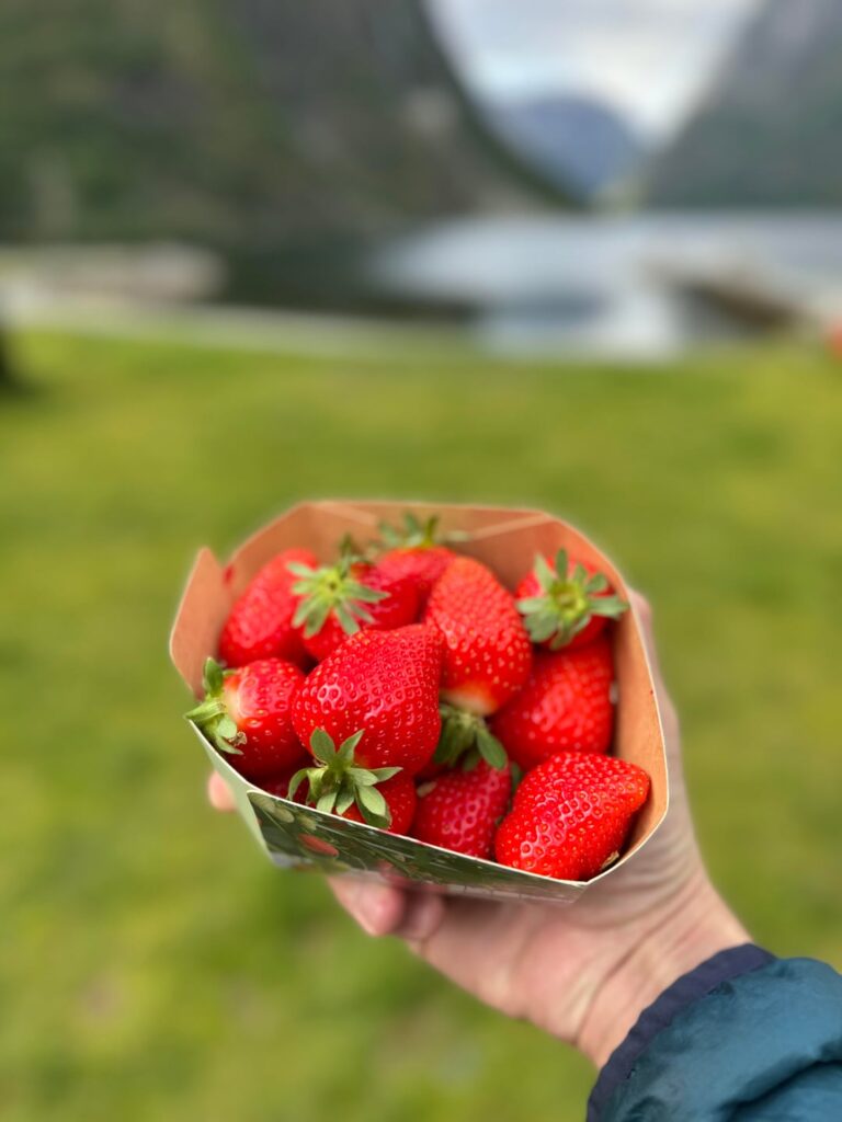 [produce] Norwegian strawberries 🇳🇴