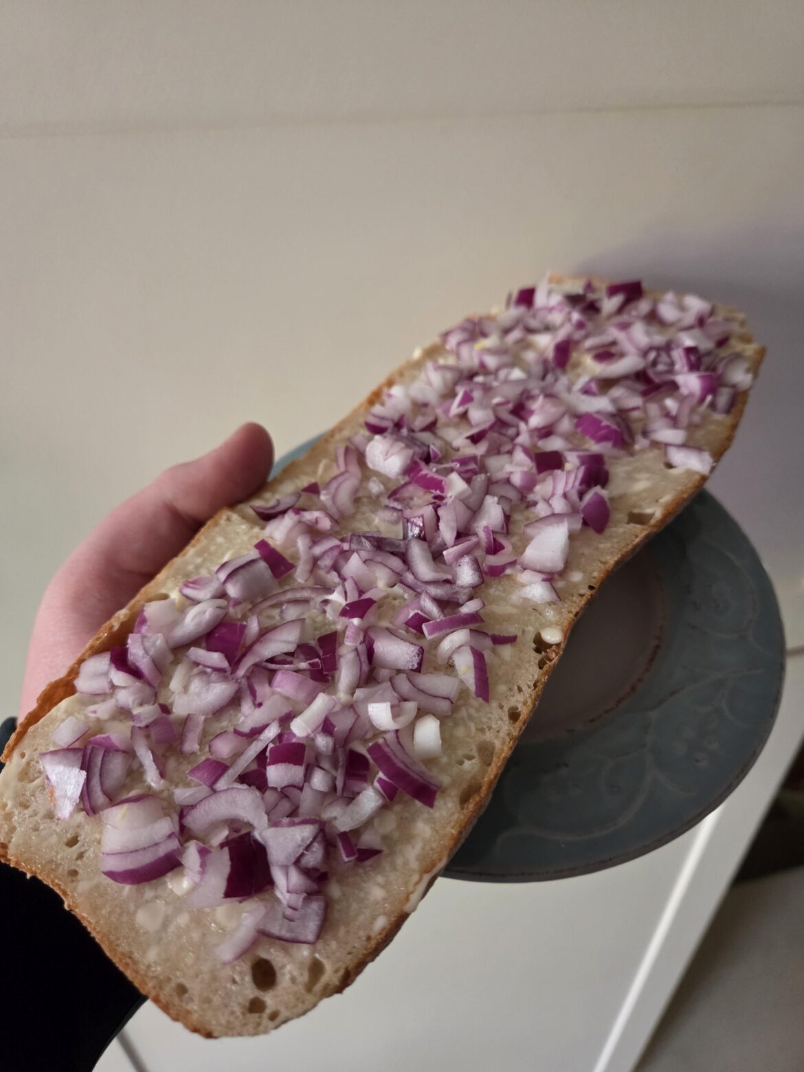 Onions and mayo, could have used more onions.