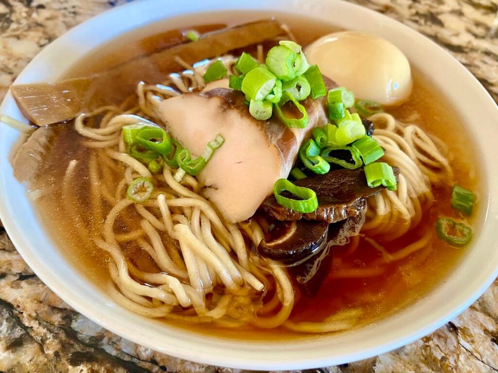 Leftover Chicken Chintan w/Dashi - working on my plating
