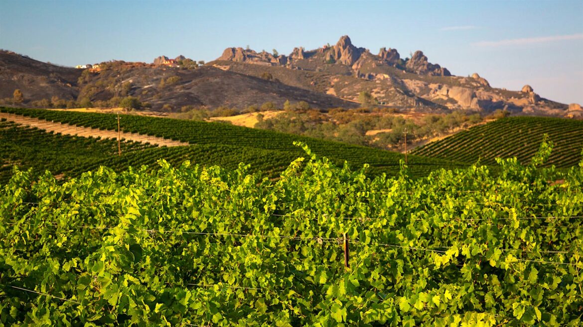 Chalone Vineyard Shuts Down Production at Namesake Monterey Winery