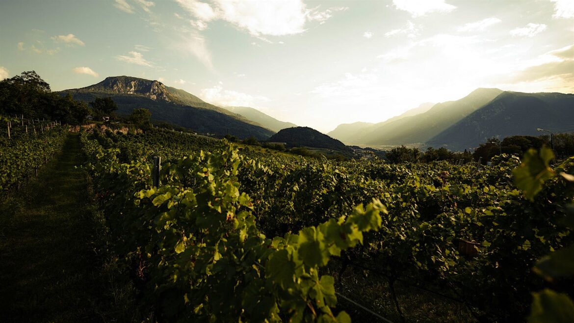 Italian Mountain Bubbles for the Winter Olympics