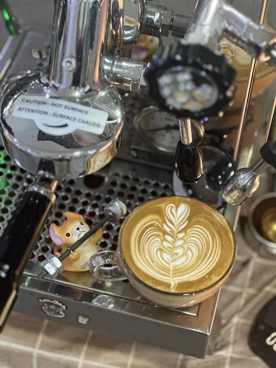 A Rosetta Blooming in a Cup I Rarely Use, on a Moment Worth Remembering