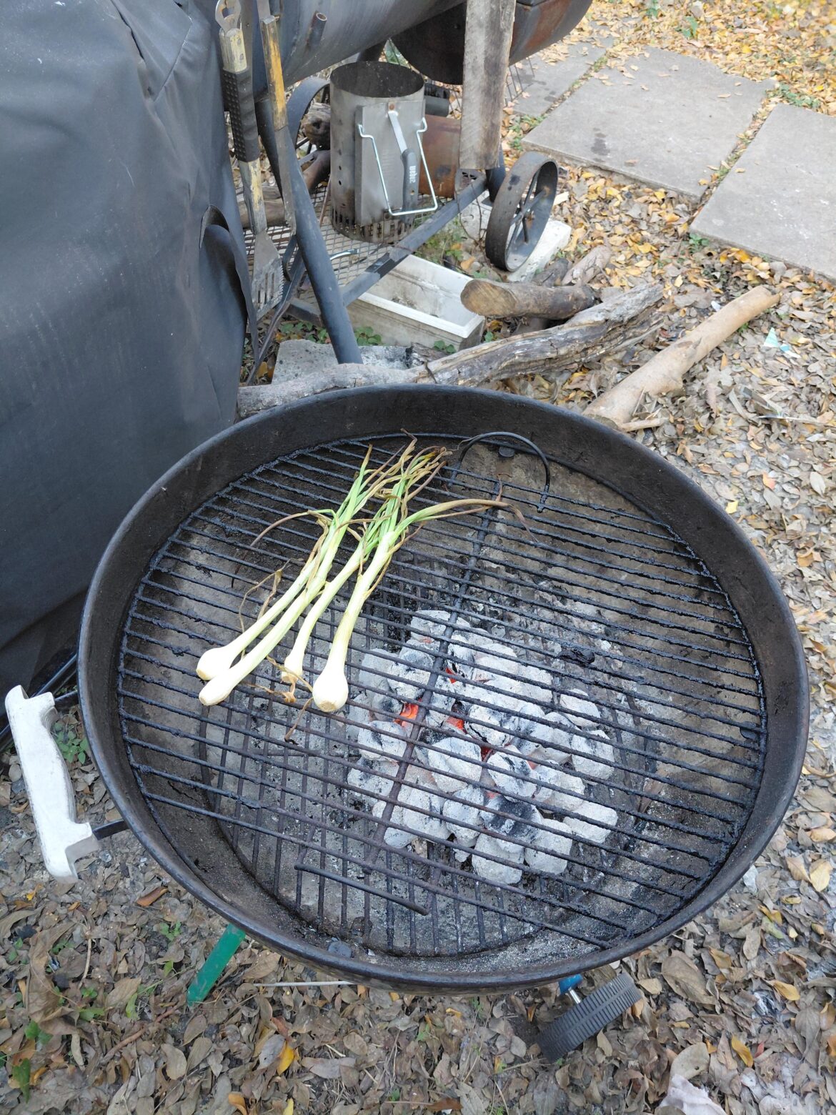 I always start with some green onion