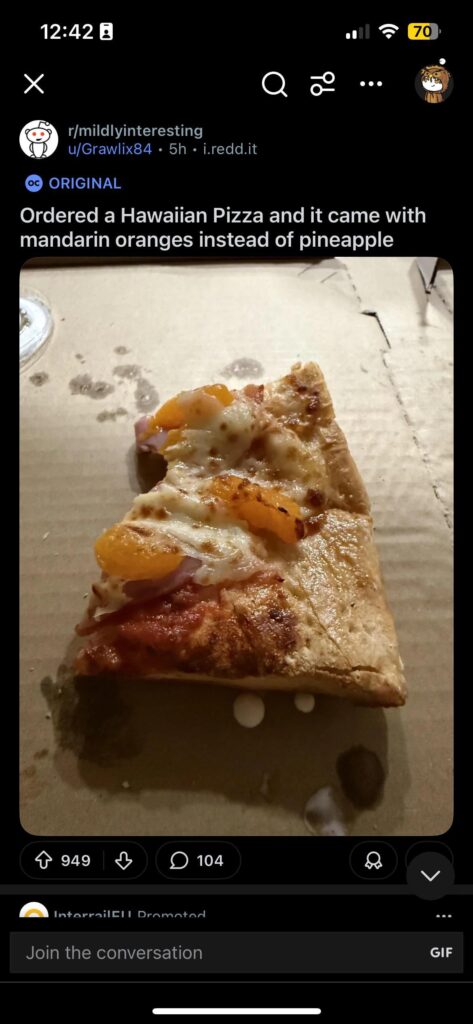 This individual ordered a Hawaiian pizza and it came with tangerine instead of pineapple