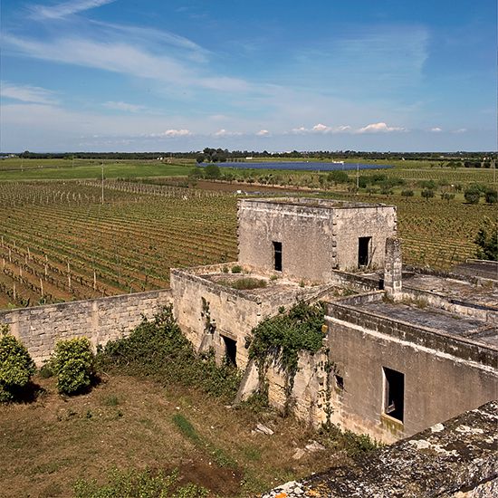 Does Italian Food Really Pair Best with Italian Wine? Does Italian Food Really Pair Best with Italian Wine?