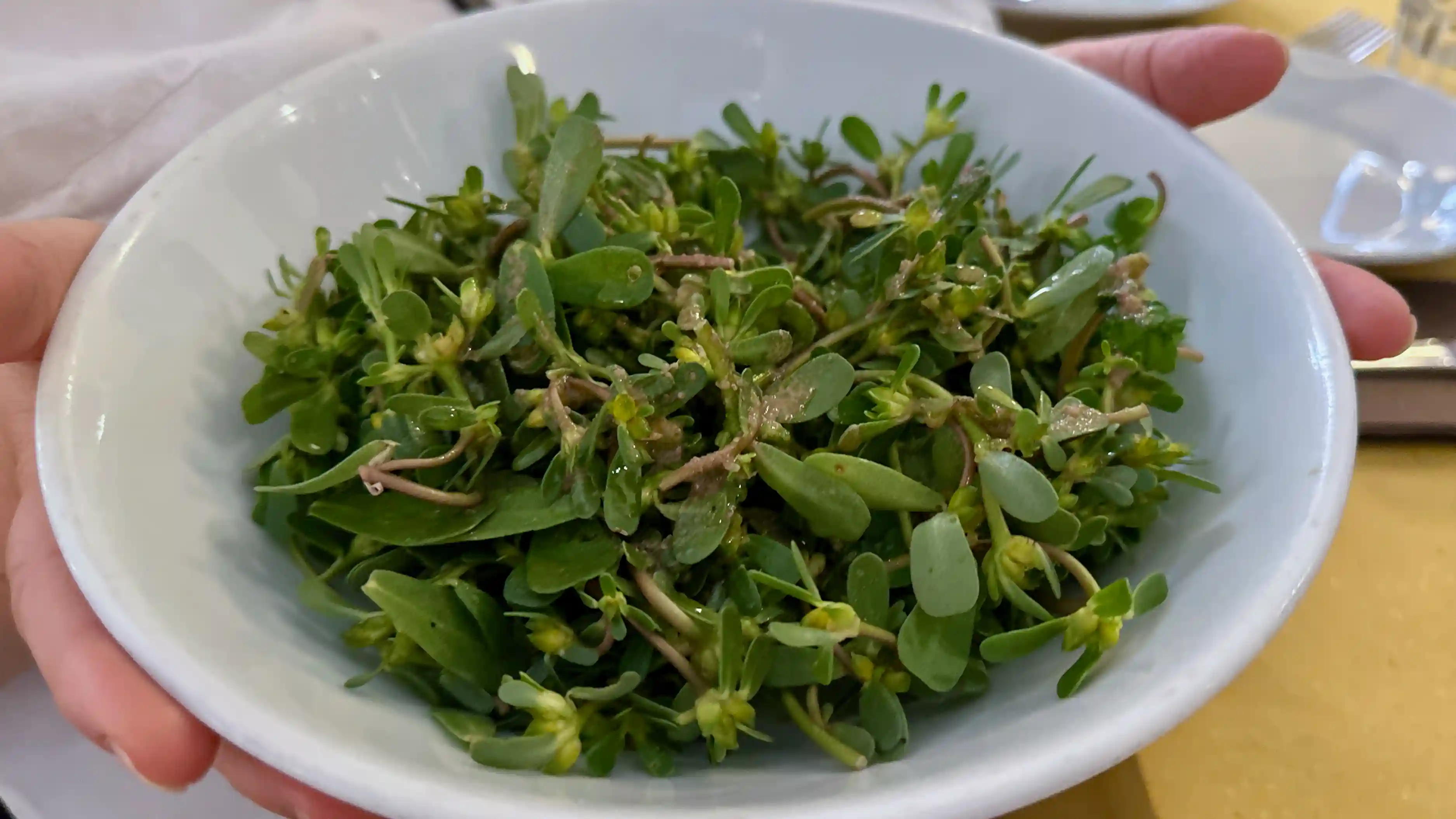 wild greens salad at piatto romano