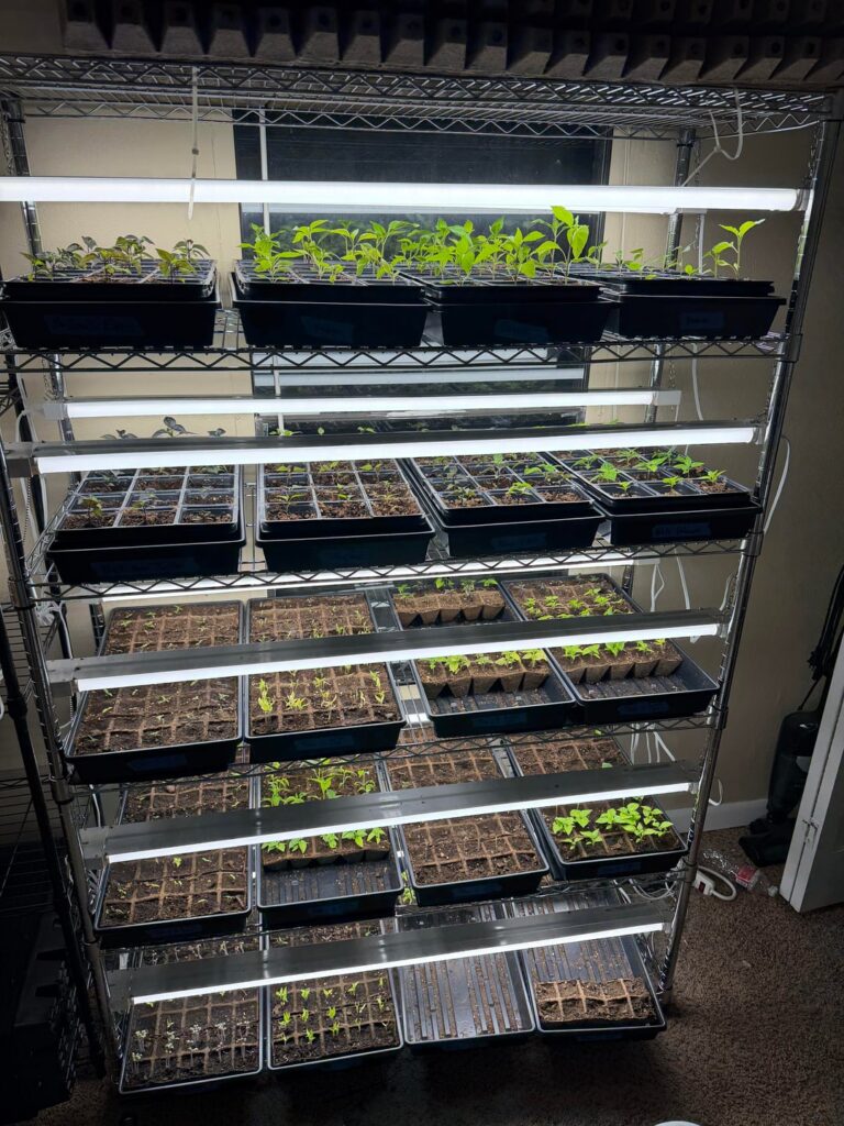 I might have a problem