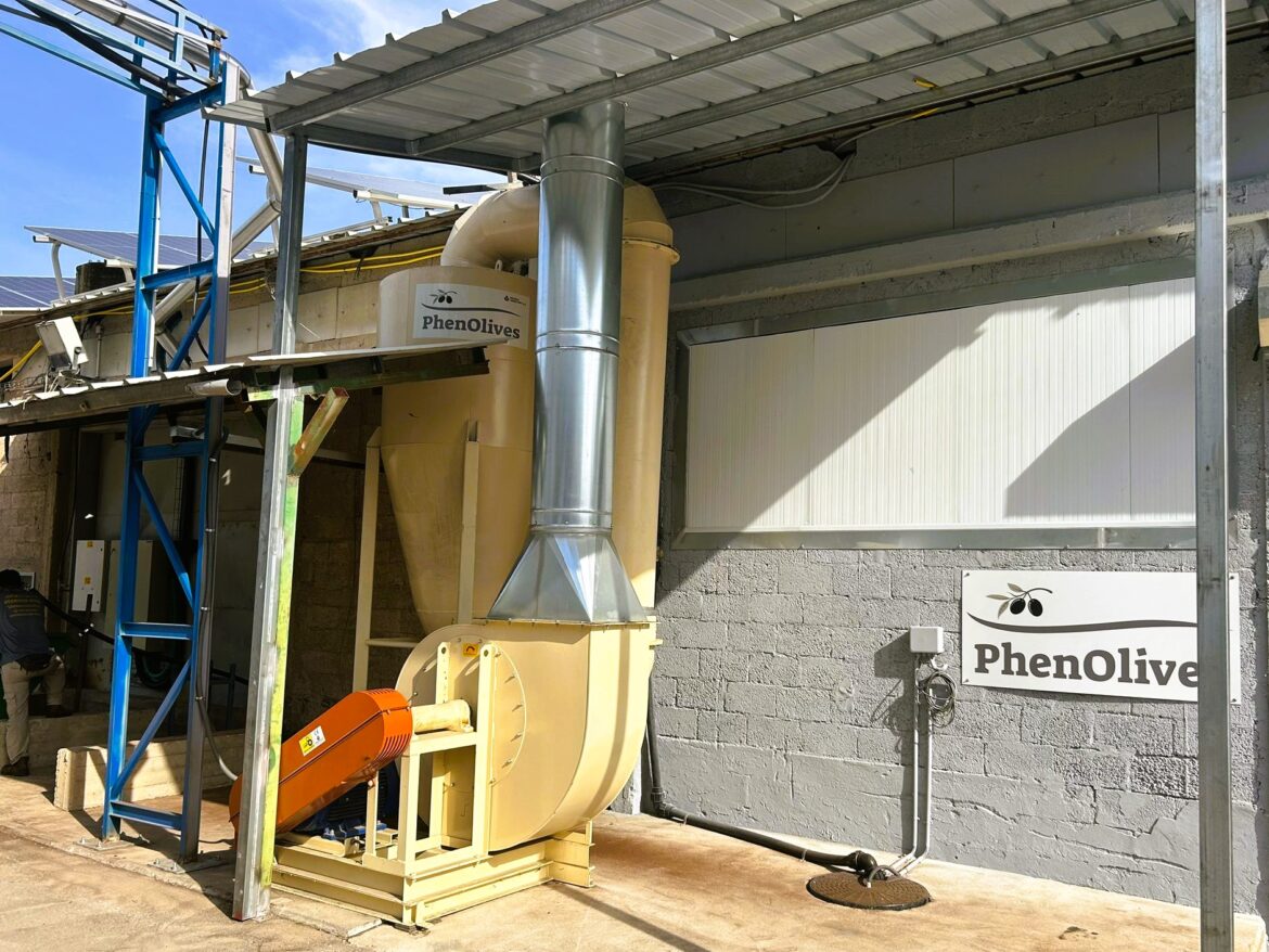 PhenOlives Launches Commercial Production Line of Olive Flour, Turning Olive Waste into a New Revenue Stream for Olive Mills - vegconomist