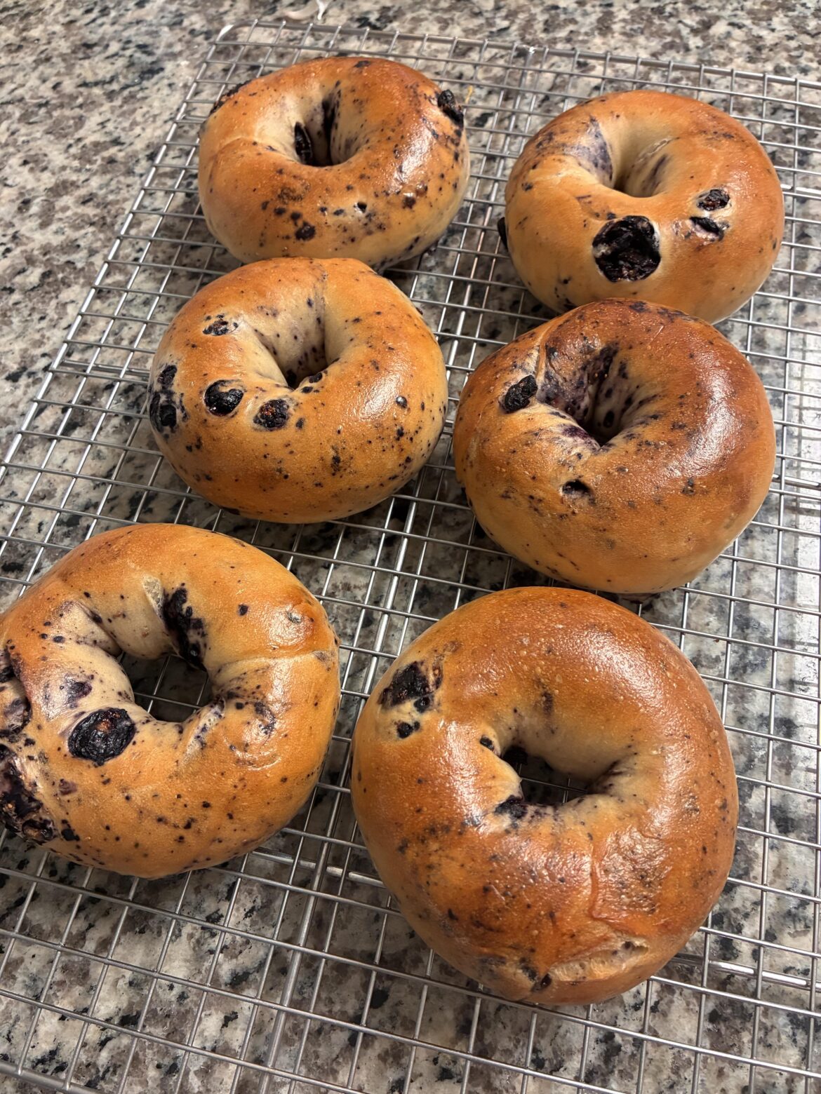 Blueberry bagels