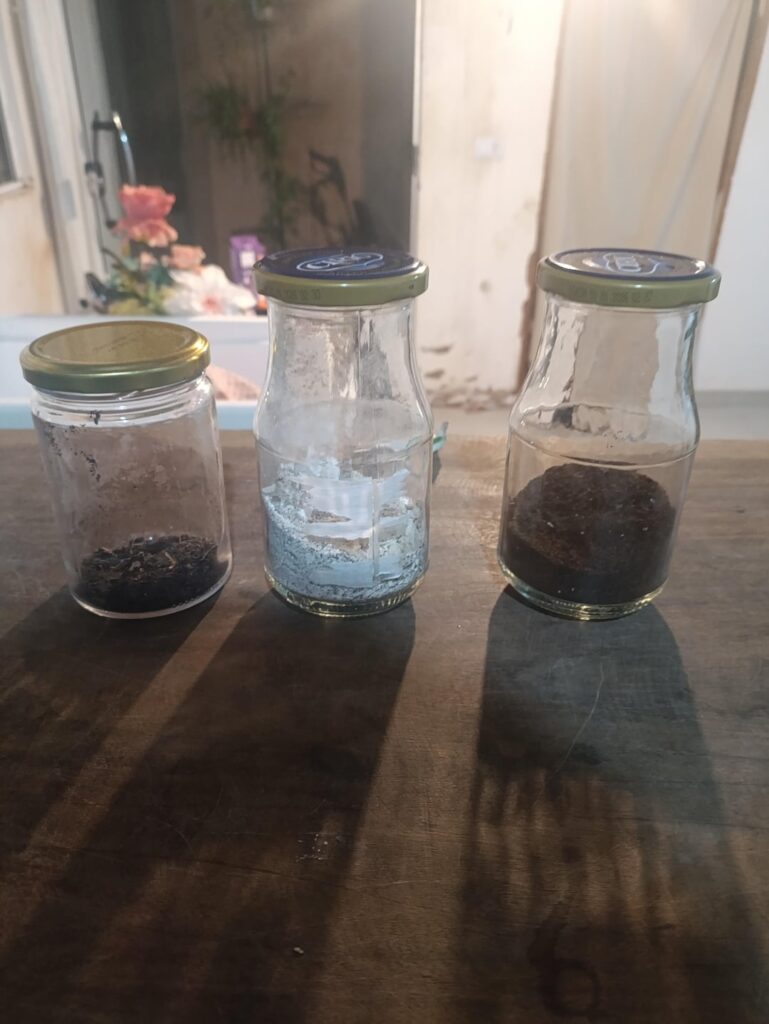 Homemade fertilizers test 1 Homemade fertilizers test 1