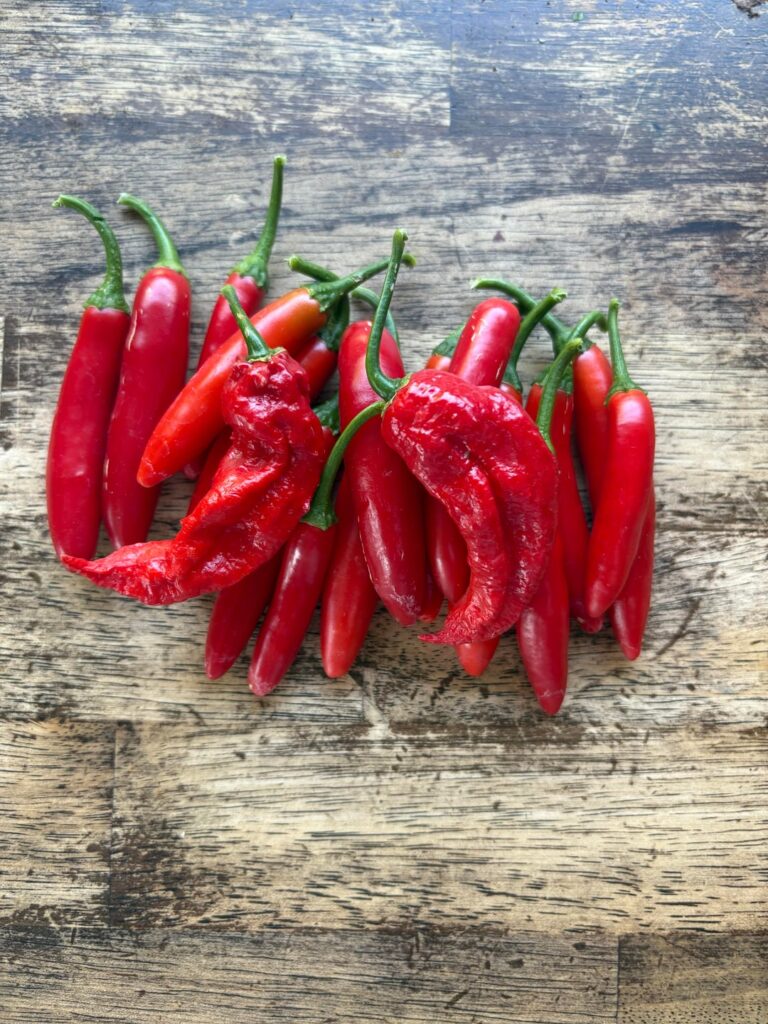 Serrano’s and some reapers