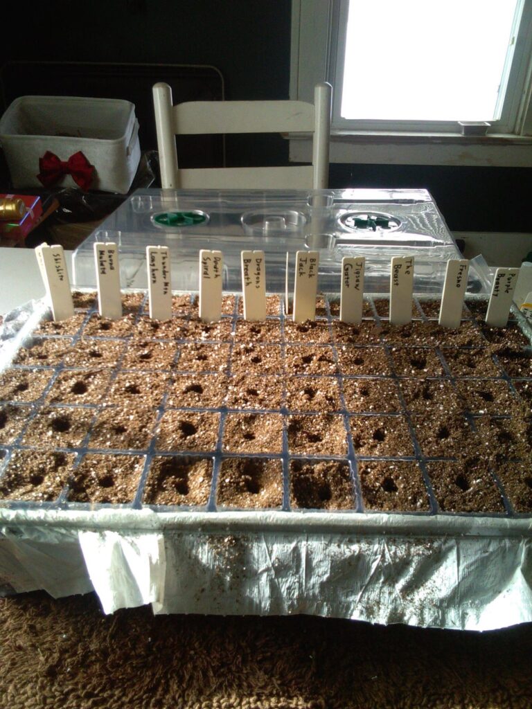 Well...the 2026 Journey begins!