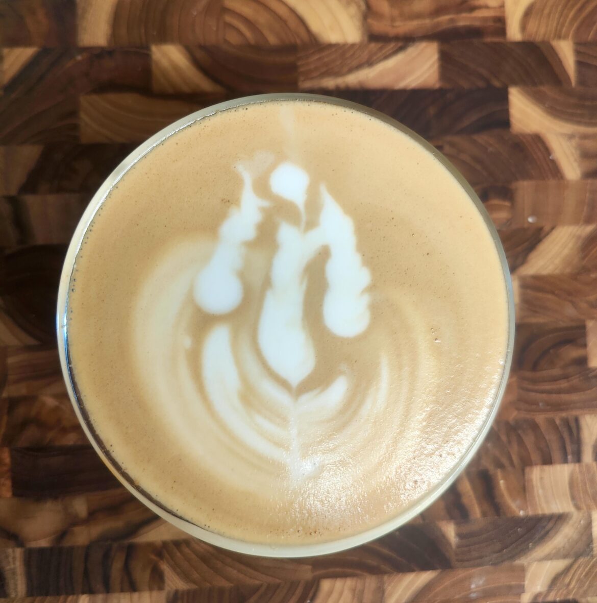 I call it Poseidon's Anchor. Is it art or fart?