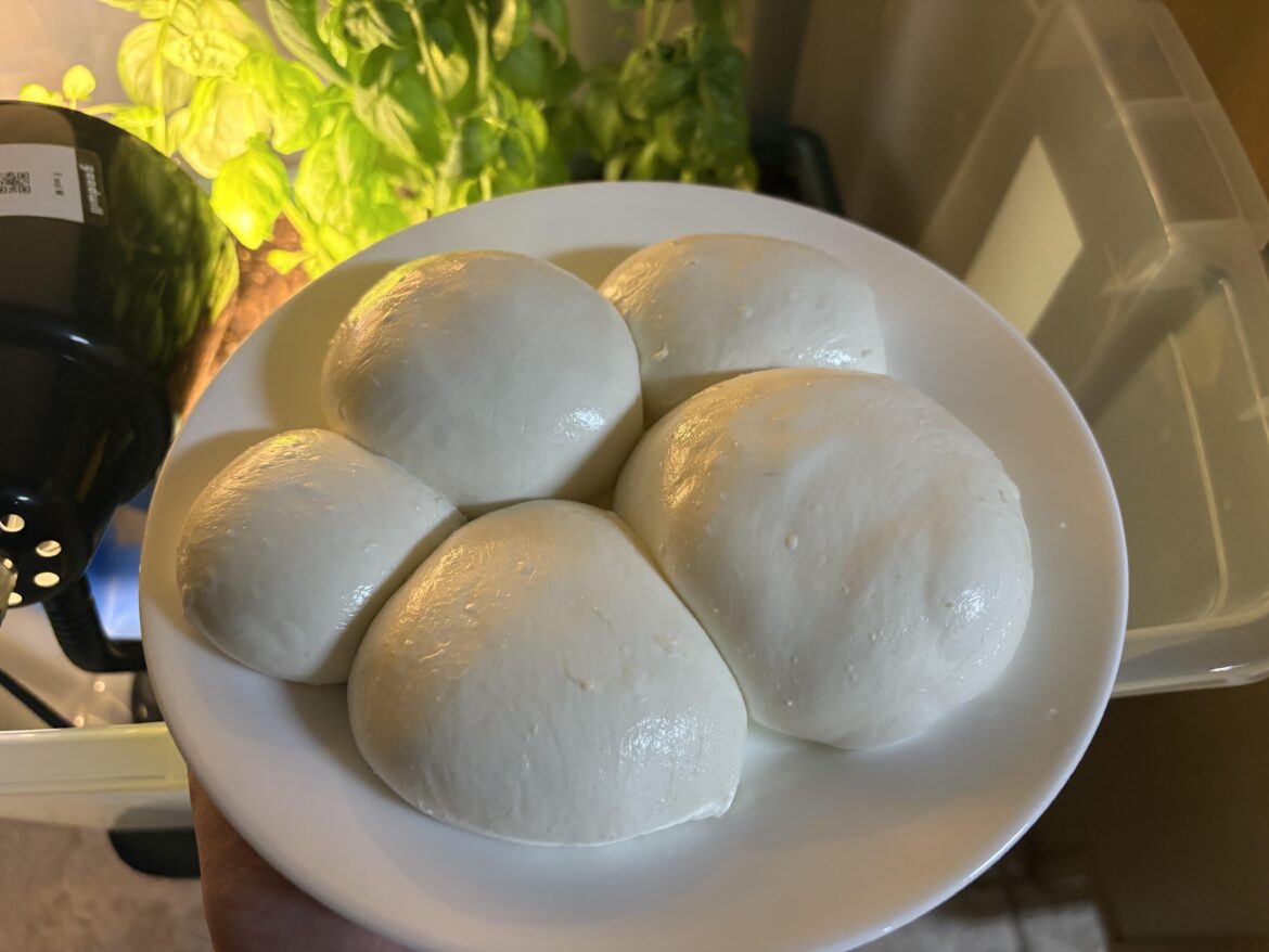 I made fresh mozzarella from WalMart milk!