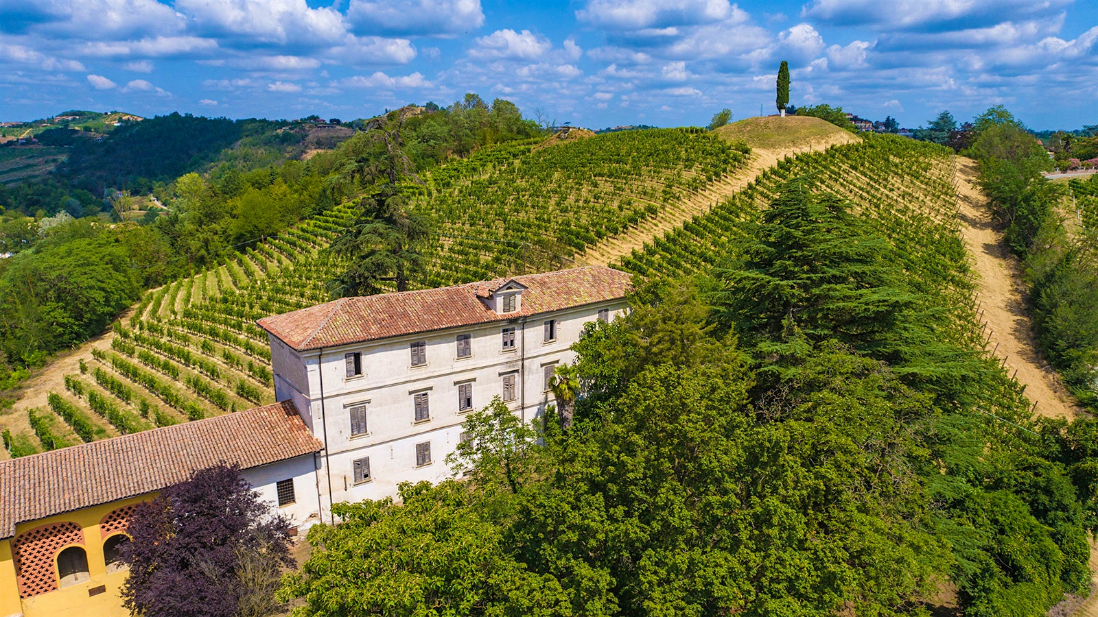  Bersano's Cascina Cremosina vineyard.] 