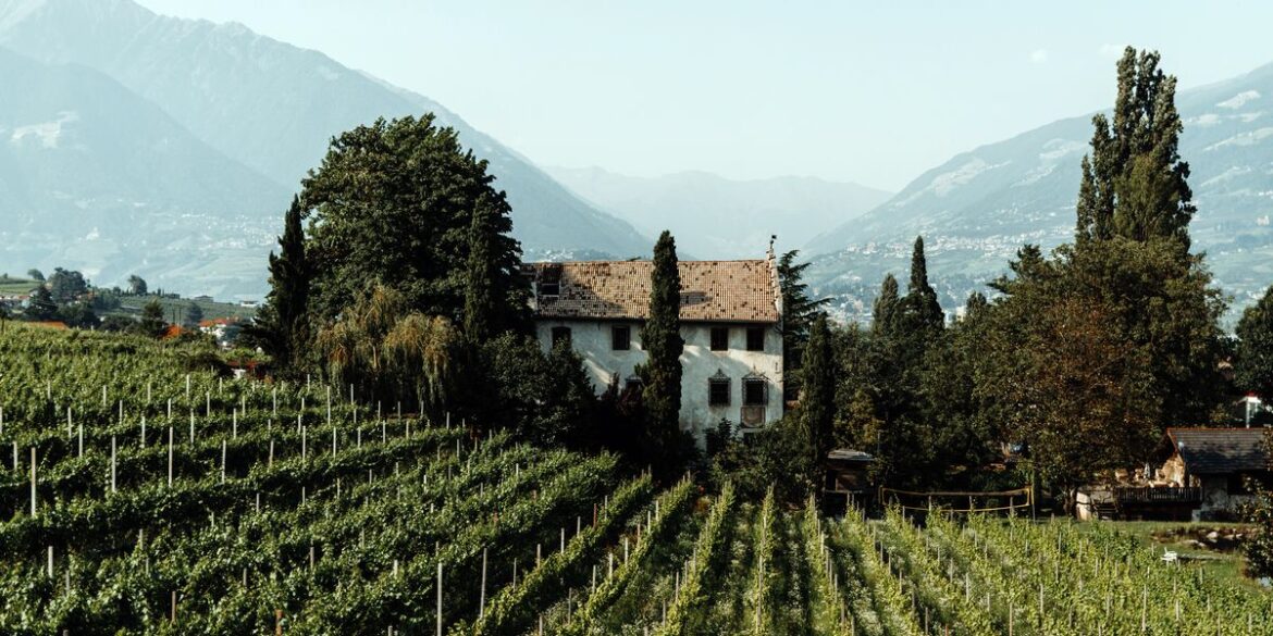 Lana Region - Wine enjoyment in South Tyrol