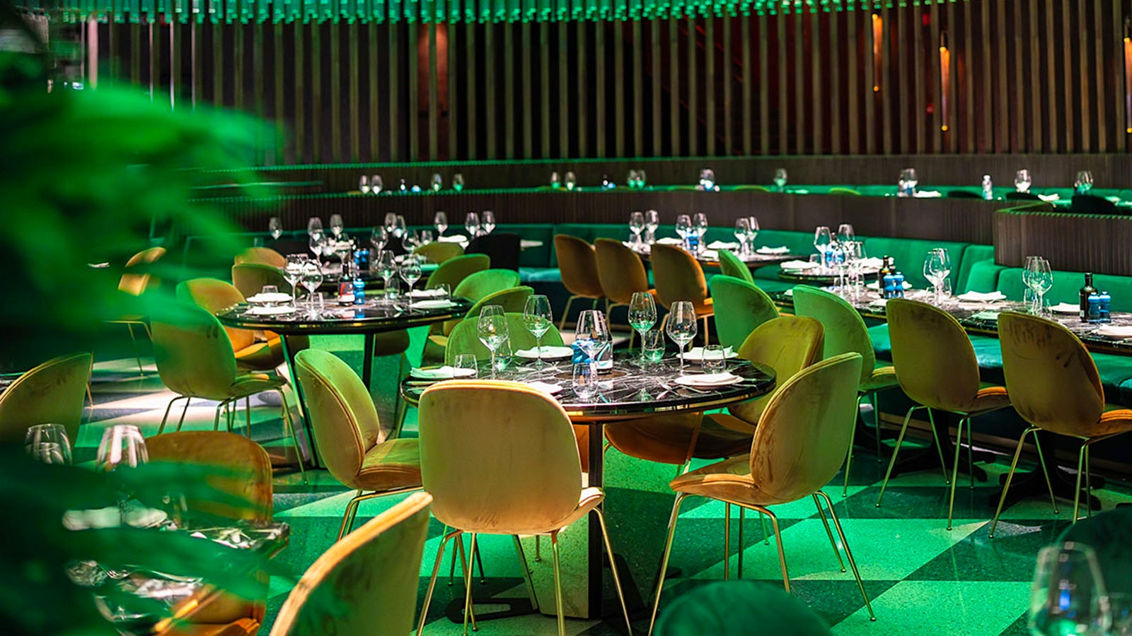  The dining room of Tuya