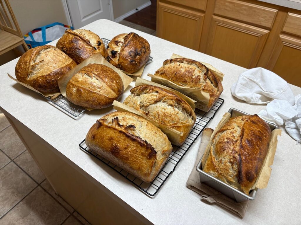 I baked 8 loaves today – open baking is the way to go I baked 8 loaves today - open baking is the way to go