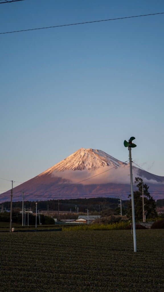 Shizuoka’s Tea Fields with Mount Fuji