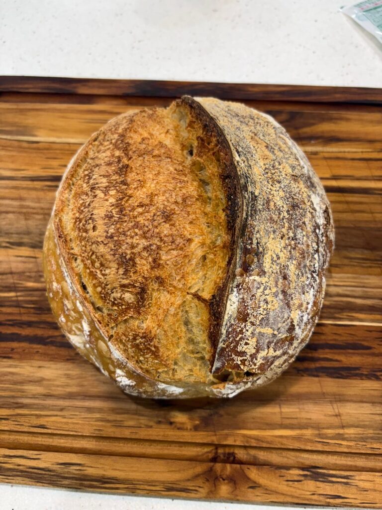 Bake Today Bake Today