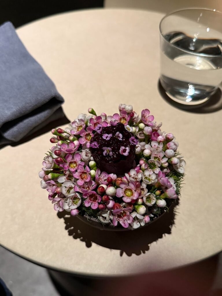 Sons and Daughters (**) - San Francisco - rough start, fantastic ending