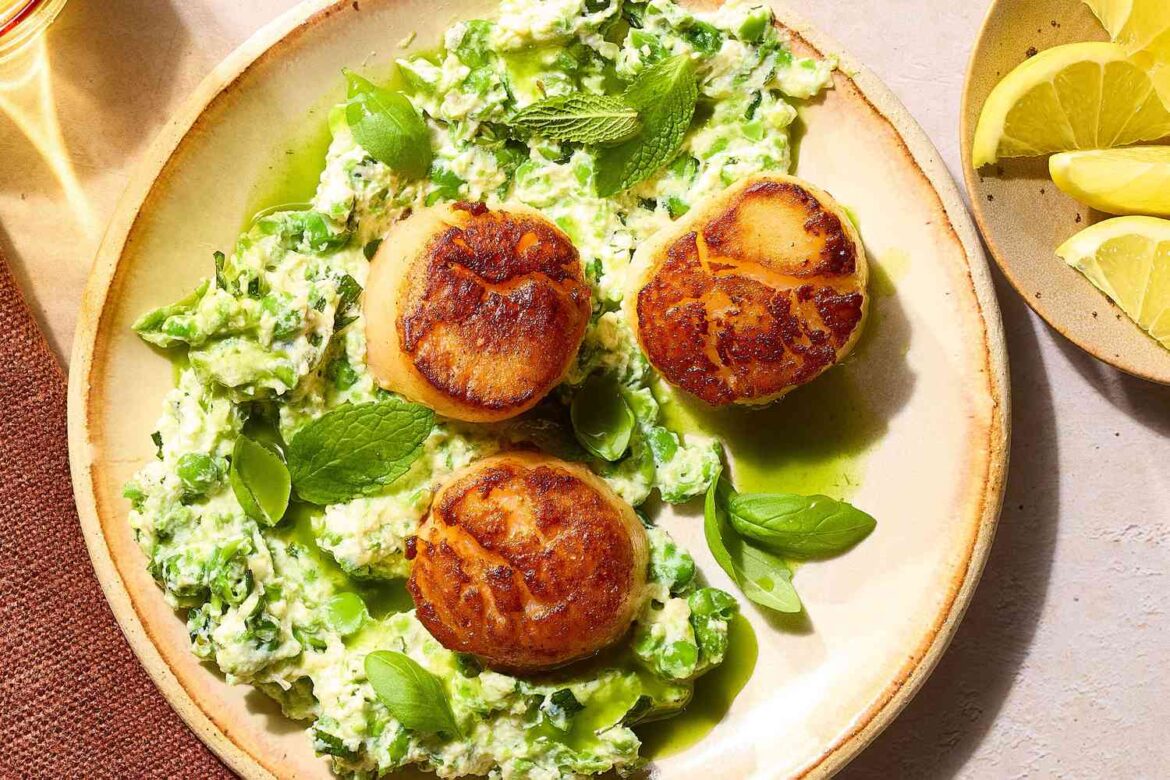 Seared Sea Scallops Recipe with Ricotta and Spring Pea Mash and Chive Oil
